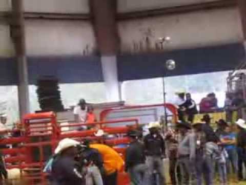 Triplets ride Mutton & Buster at BPCCA Rodeo