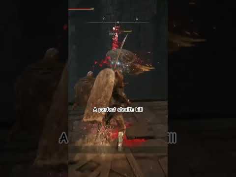 A perfect stealth kill