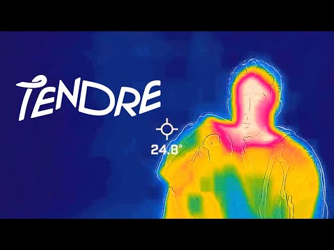 TENDRE - PARADISE（Official Music Video）