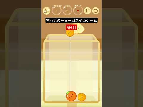 初心者の一日一回スイカゲーム【5日目】 #すいかゲーム #ゲーム