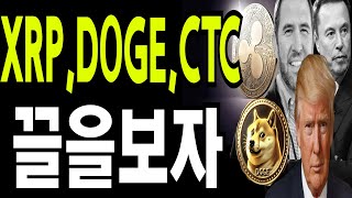 비트코인 도지코인 리플코인  CTC코인  오락가락말고 끝을보자 🔥