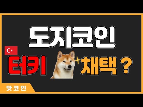 도지코인의 호재는 일론머스크 뿐만이 아니다 #도지코인 #도지코인전망 #일론머스크 #dogecoin #도지