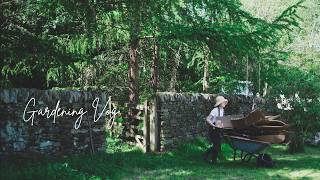 How I make topiary garden in our English cottage Garden
