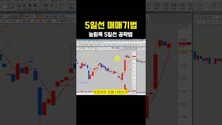 5일선 매매기법_눌림목 5일선 공략법