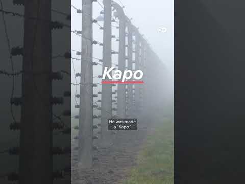 How to remain Human in Auschwitz #dwhistoryandculture