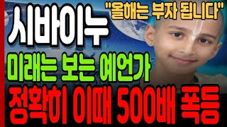 [시바이누 전망]미래를 보는 예언가 정확히 이때 500배 폭등#시바이누 #시바이누코인전망 #시바이누분석 #업비트시황 #코인시황 #급등코인추천 #시바이누대응