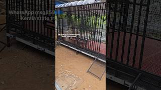 10×4 feet dog cage with fan WhatsApp msg8590830442 Kerala state trissur