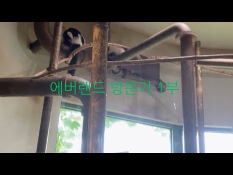 에버랜드 방문기 1부