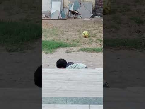 #entertainment #ball #balloon #play #garden #gaming #volleyball #basketball #dailyvlog #babygames