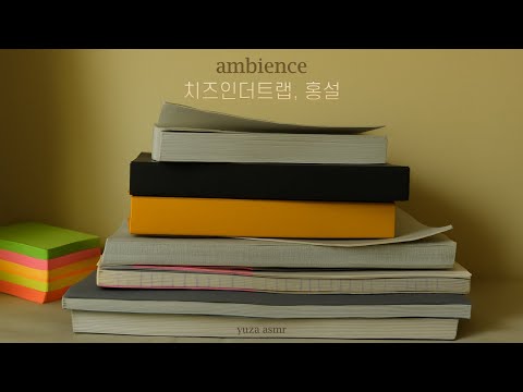ASMR 왜 아무도 안읽지.. 밤새 혼자 팀플하는 홍설 I study with 홍설, 공부할 때 듣는 asmr, 노트북 타자소리, 치인트asmr