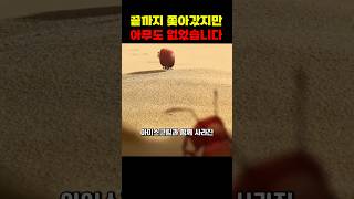 도망친 개미들, 아이스크림 결국 어디로 갔을까?