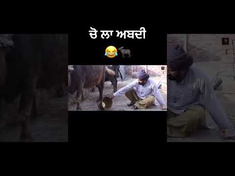 Dhutta Pindi ala and gaggi don baba beera funny video #motivation #like #shorts #shortfeed #pushpa