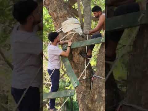 How to make a Zig Zag Bridge | Scout Guide Knowledge | Zig zag Bridge | Part-1 | Upbsg jhansi #Bsg