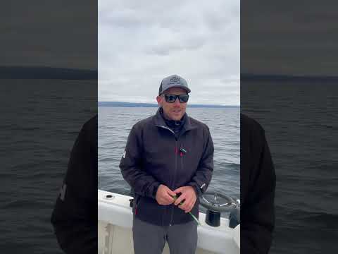 Is Leader Length Important?