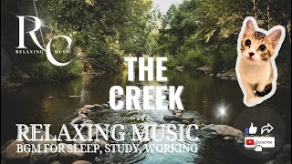 RC Relaxing Music – The Creek Soft Piano BGM for Deep Sleep/Reading #sleepmusic #relaxingmusic #bgm