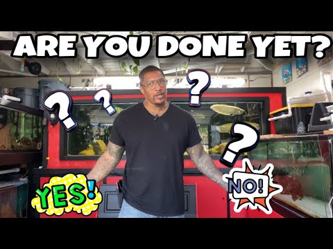 ARE YOU DONE YET?