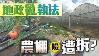 東方日報A2：漁署話得地署話拆　農戶500萬元苗棚險化灰