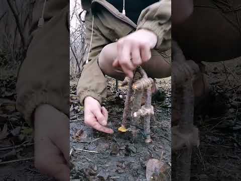 trap #bushcraft #trap #survival