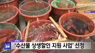 MBC강원영동 뉴스와경제 20250311