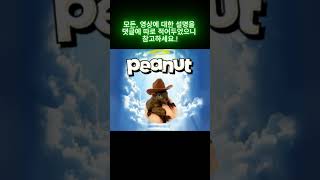 솔라나 덱스의 시작! 펌프펀 가이드!