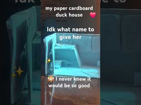 my paper cardboard duck house