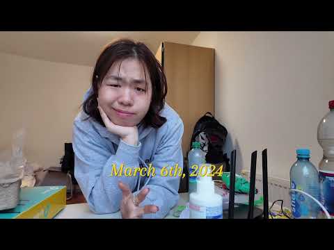 i moved to germany for 6 months