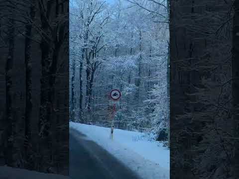 #austria #europeroadtrip #winterwonderland #europeinwinter #winterineurope #europe #europetravel