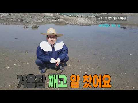 갯벌체험 안면도체험 2018년 봄 나들이