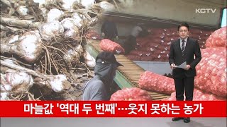 마늘값 '역대 두 번째'…웃지 못하는 농가