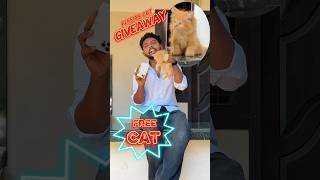 Free cat giveaway | Malayalam | #cat #giveaway #persiancat