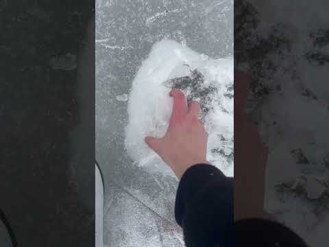 bare with me #ice #asmr #jokes #funny #ytshort #yt #cold