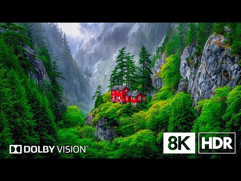 Scenic Earth Charms in 8K HDR | Dolby Vision™