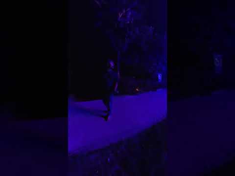 Naksha kalibari short | #shorts #short #kali #tara