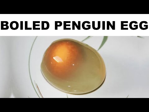 Food Memes