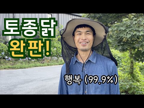 방목 토종닭 올해도 완판! 맛있는 초복 보내세요