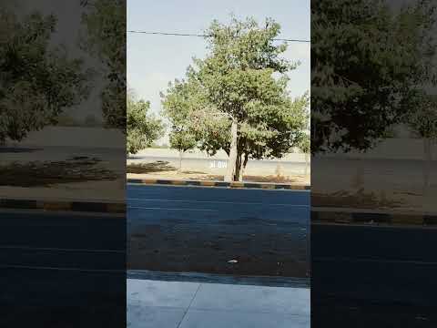 Abdul Rahman Masoud #funny #duet #اكسبلور