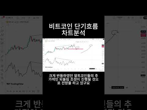 비트코인 단기흐름 차트분석
