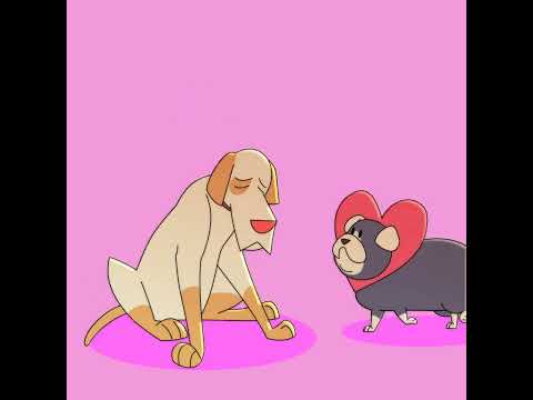 valentine dogs
