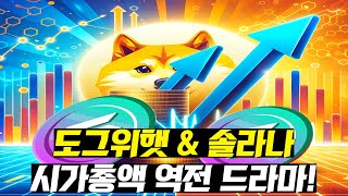 "도그위햇코인의 강세: 솔라나를 넘어 시가총액 4위 정복!"