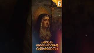 മാതാവിന്റെ  വണക്കമാസം 6 May 2025 | Vanakkamasam Prayer | Mathavinte Vanakkamasam Day 6