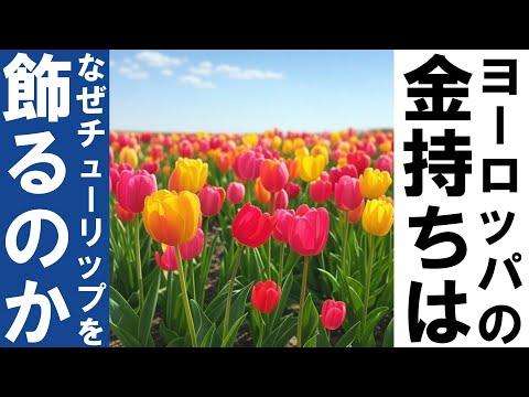 雑談　召使の顔につばを吐きかけた　全部貧乏が悪い　オランダは何故チューリップを植えるのか？