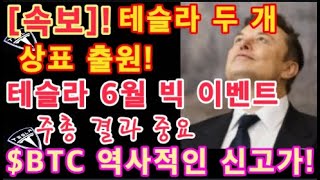 [속보]! 테슬라 두개의 상표 출원 / $TSLA 2배 상승한다(WB) / 테슬라 6월 빅이벤트(주총 결과 중요) / $BTC 역사적인 신고가! 올해 코인시장 엄청난 수익률 나온다