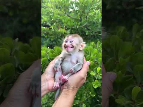 My lovery baby monkey😍