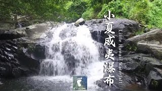 將軍之滝 － 小夏威夷瀑布 (Little Hawaii Waterfall) [4K航拍]