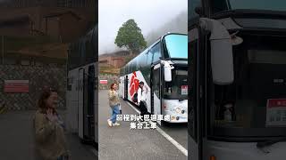 搭阿里山接駁巴士玩阿里山 不開車超方便 #阿里山 #阿里山森林遊樂區 #嘉義景點 #阿里山景點