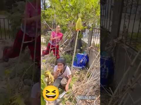 laughing real video #StarsEverywhere #fbreelsfypシ゚viralシ #reelschallenge #comedy.