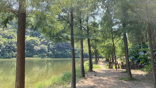 [Vlog] 新手行山⛰️八仙嶺郊野公園丨流水響水塘—鶴藪水塘