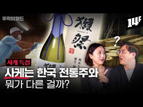 사케는 어떤 술이에요?? 헷갈리는 사케 용어와 제조법 + 입문용 사케 추천까지~ (feat. 유키) | 주락이월드 / 14F