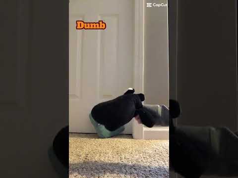 Dumb to die