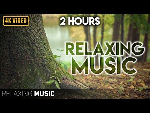 2 Hours of Relaxing  Music with Forest Sounds | Relaxing Music | Sleeping Music For Deep Sleeping
